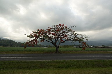 Australia-2012_21.jpg: 950x631, 119k (2012-11-20, 10:31)