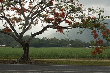 Australia-2012_22.jpg: 950x631, 203k (2012-11-20, 10:34)